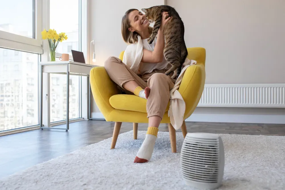Tout ce que vous devez savoir sur le chat domestique