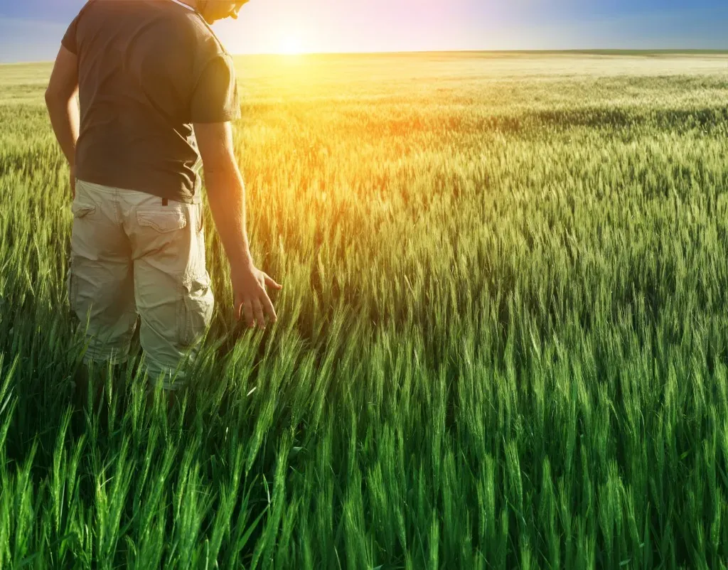L’écologie peut-elle réellement sauver l’environnement ?