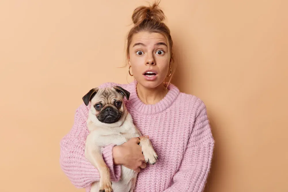 quand commencer l’éducation du chiot ?