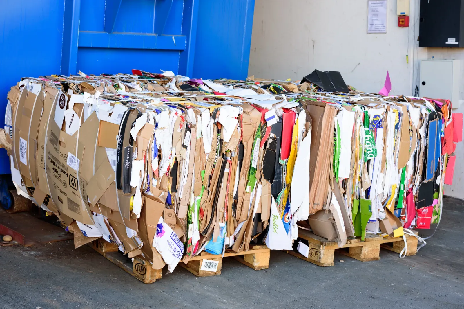 Pourquoi l’emballage carton écologique est-il meilleur ?