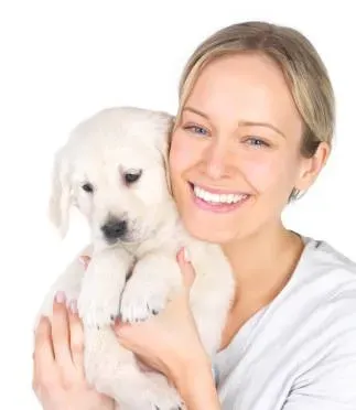 L’assurance pour animaux