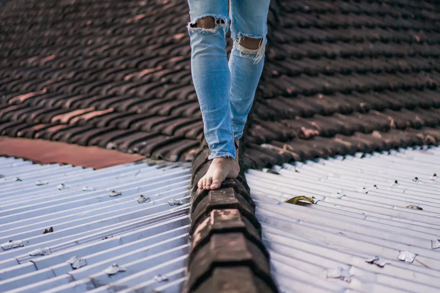Les secrets pour obtenir le meilleur prix d’un démoussage de toiture