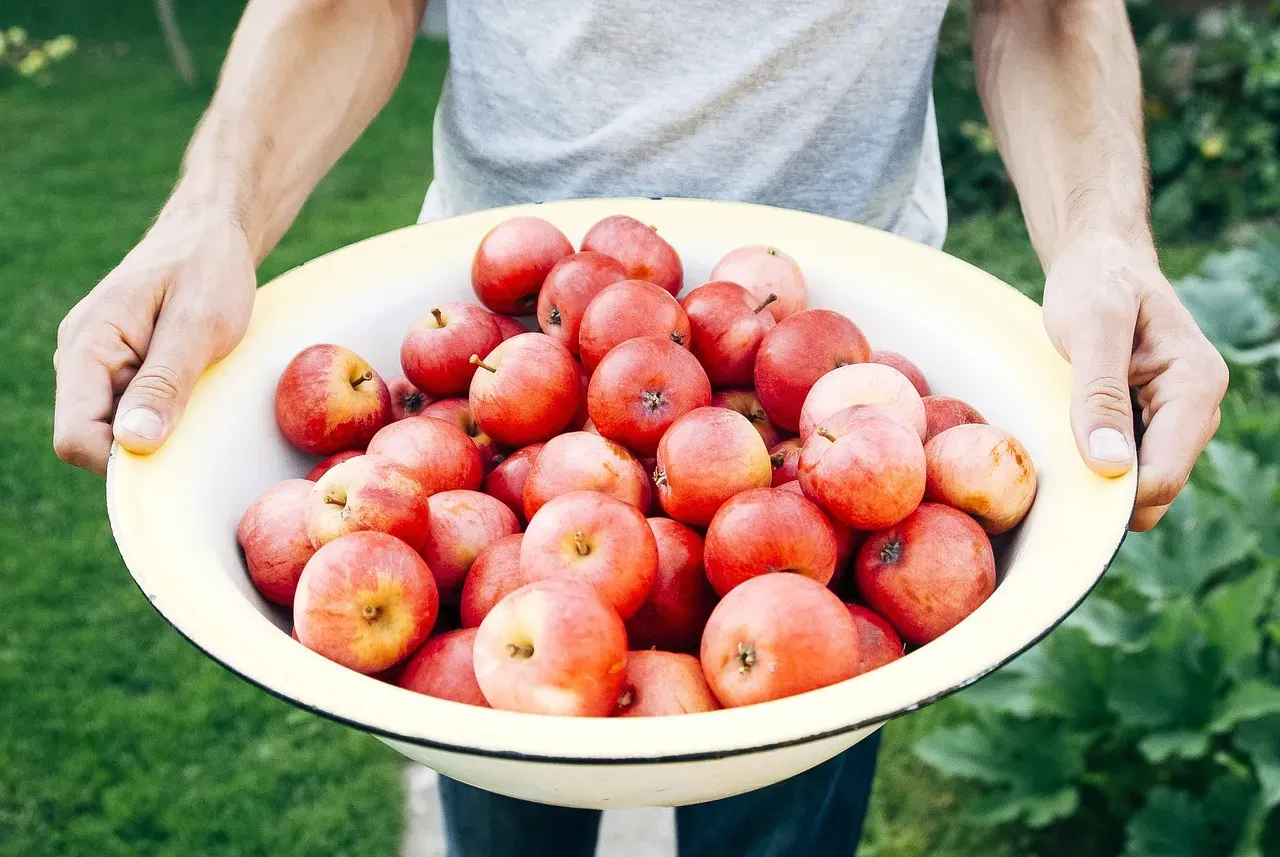 Manger bio et de façon équilibrée