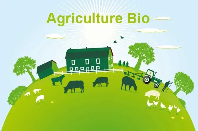 La popularité du bio augmente auprès des français
