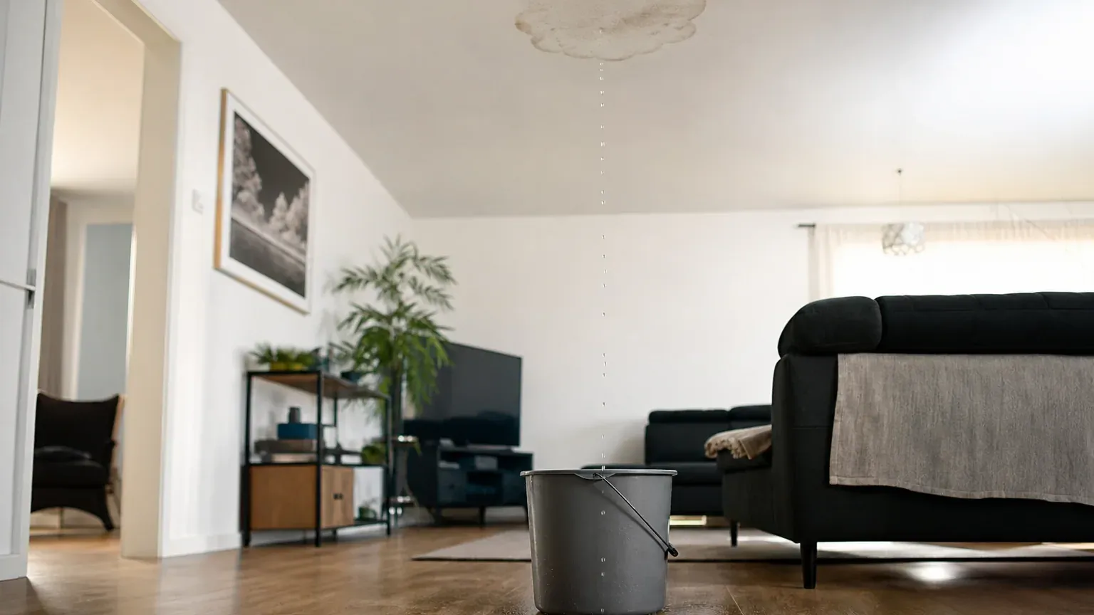 Plafond marqué par une auréole d'humidité après un dégât des eaux dans un logement
