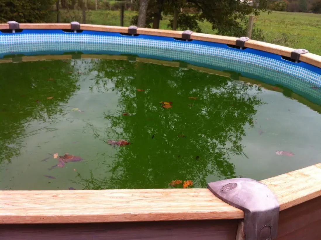 Que faire quand eau piscine verte