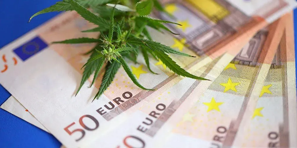 Quel est le prix du CBD ?