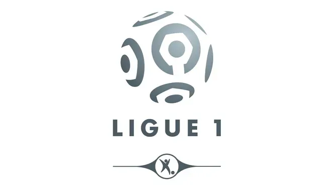 Saison 2013 de Ligue 1