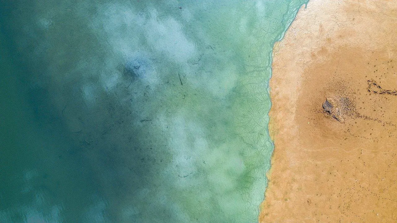 Sortie à la plage : les réflexes écoresponsables à avoir